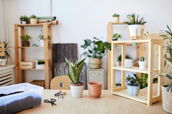 Des idées astucieuses pour embellir votre maison et jardin